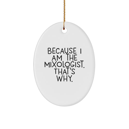 Funny Mixologist Gifts for Him from Friends, Oval Ornament Quote That's Why, Christmas Unique Presents - Image 1