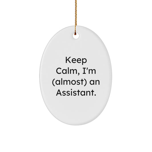 Funny Assistant Oval Ornament Gifts from Men to Women Coworkers Family for Christmas Unique Presents - Image 1