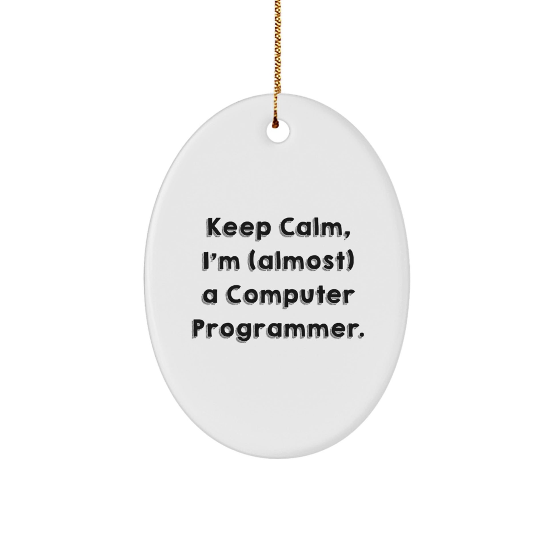 Funny Computer Programmer Oval Ornament Gifts from Family to Friends for Christmas - Image 1