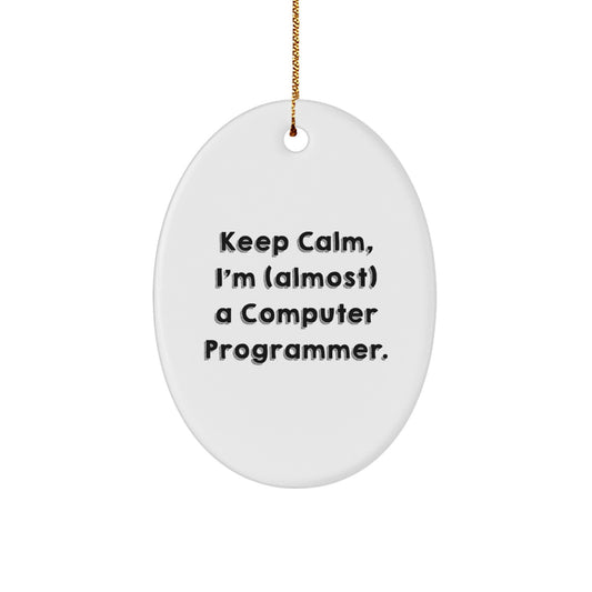 Funny Computer Programmer Oval Ornament Gifts from Family to Friends for Christmas - Image 1
