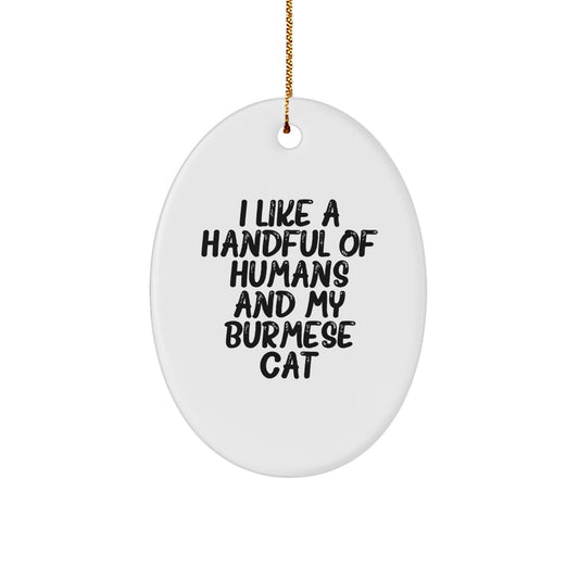 Burmese Cat Lover Gifts from Men to Women, Funny Oval Ornament for Christmas Unique Gifts - Image 1