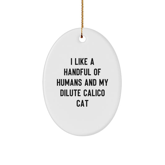 Funny Dilute Calico Cat Lover Gifts from Men to Friends for Dilute Calico Cat Enthusiasts - Unique Christmas Oval Ornament, A Handful of Humans Quote - Image 1