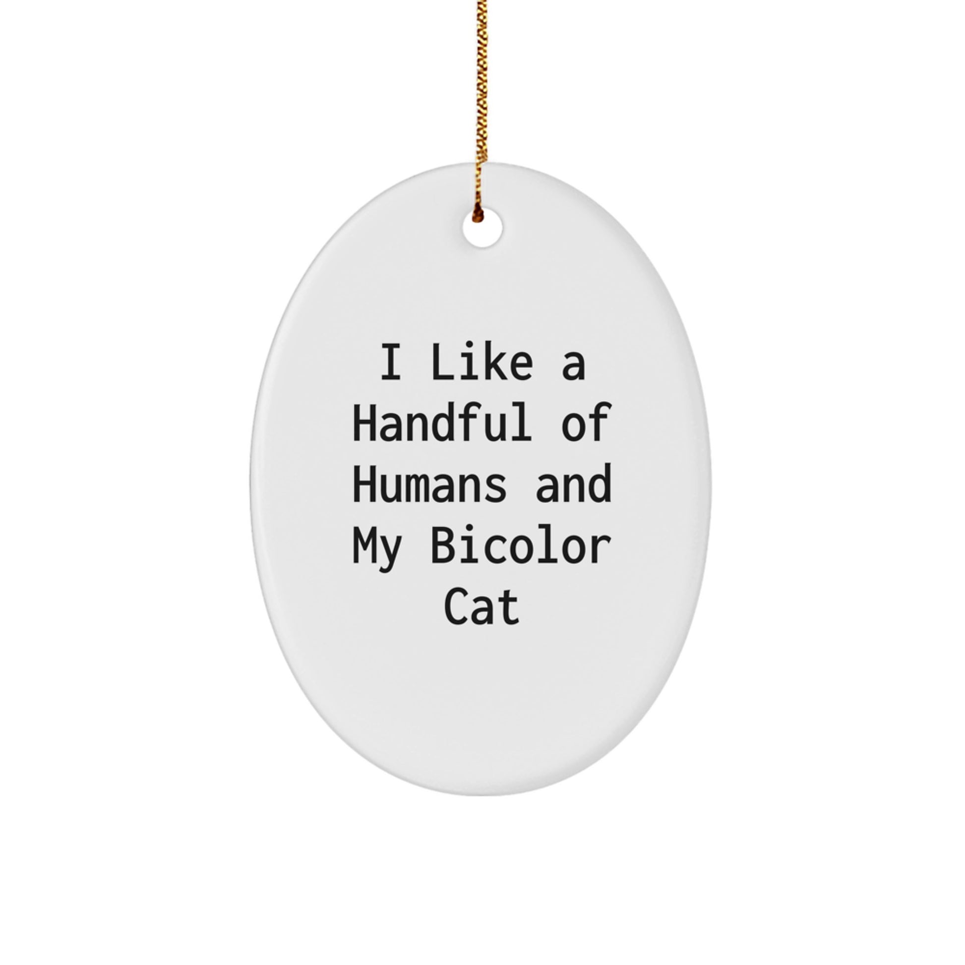 Funny Bicolor Cat Oval Ornament Gifts from Family to Friends for Christmas - Image 1