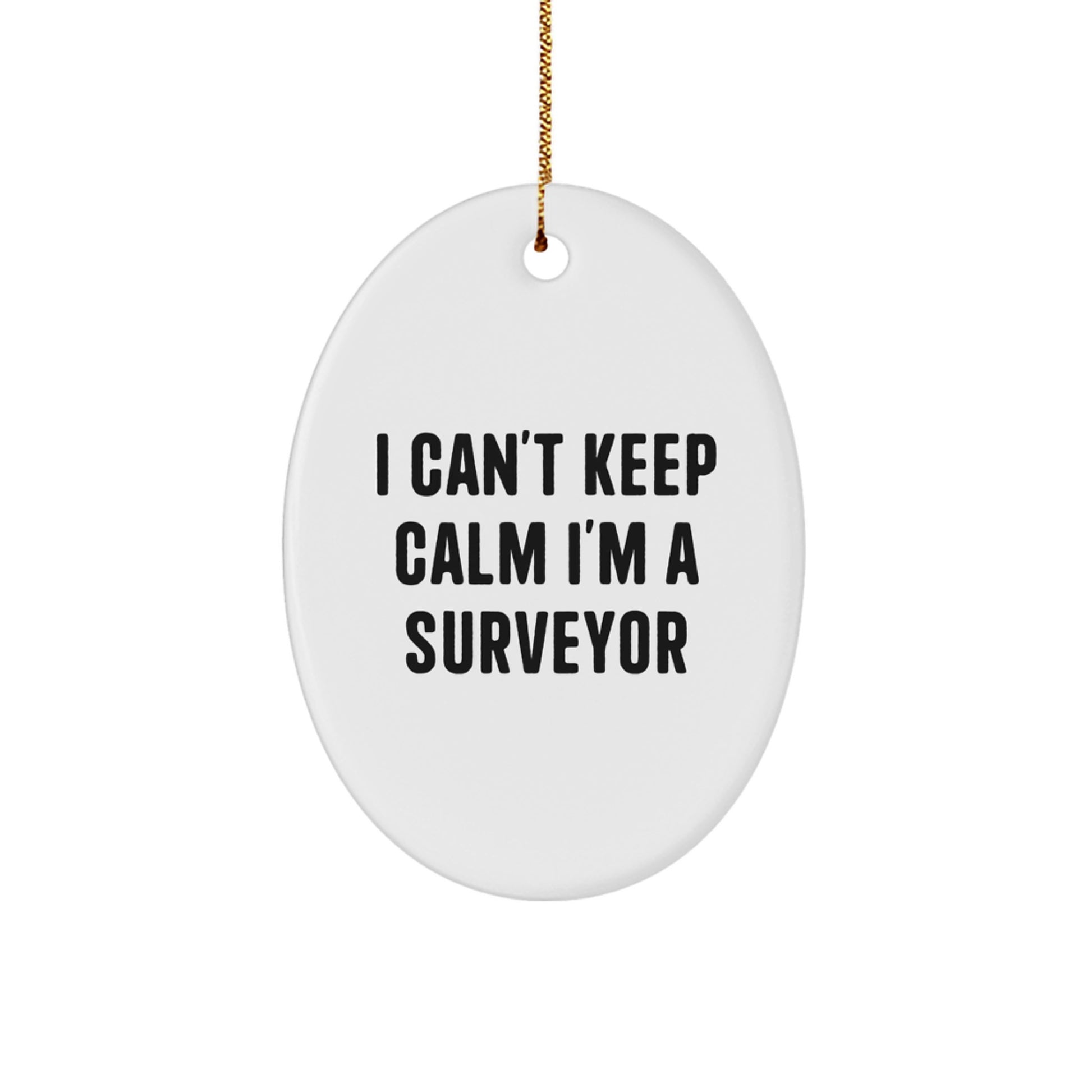Funny Surveyor Gifts from Men for Friends - Oval Ornament 'I Can't Keep Calm I'm A Surveyor' Christmas Unique Decor - Image 1