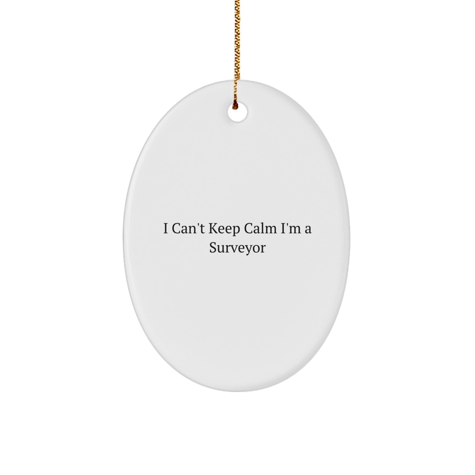 Funny Surveyor Gifts for Men, Christmas Unique Gifts from Friends, Oval Ornament for Surveyor Enthusiasts - Image 1