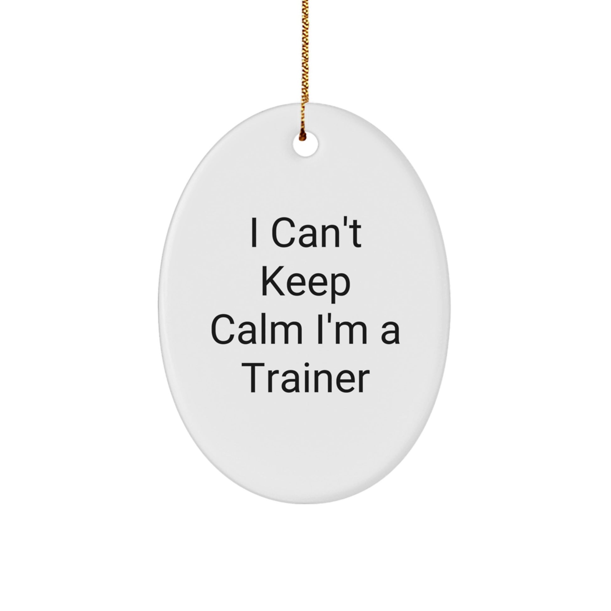 Funny Trainer Gifts from Friends - Oval Ornament for Trainers - Christmas Unique Gifts for Men or Women - Image 1