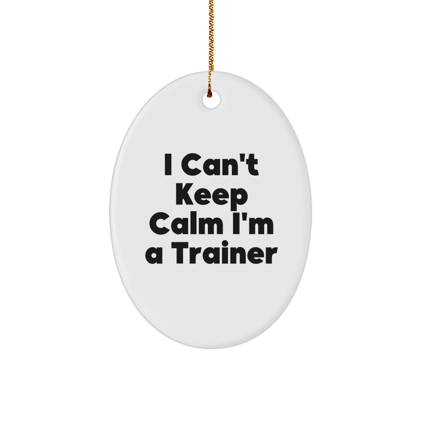 Funny Trainer Oval Ornament Gifts from Family Friends for Christmas Unique - Image 1