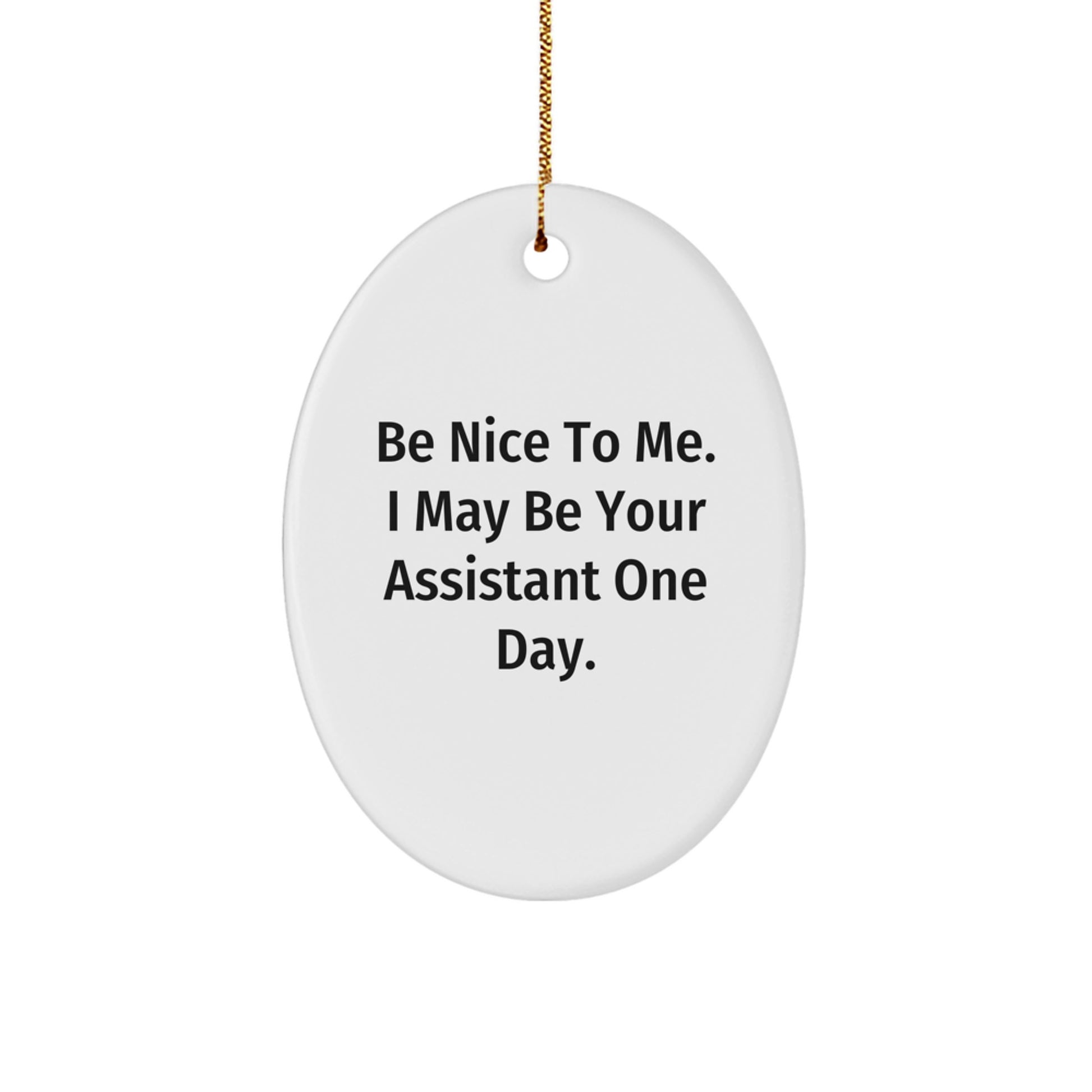 Funny Assistant Oval Ornament Gifts from Men to Assistant for Christmas Unique - Image 1