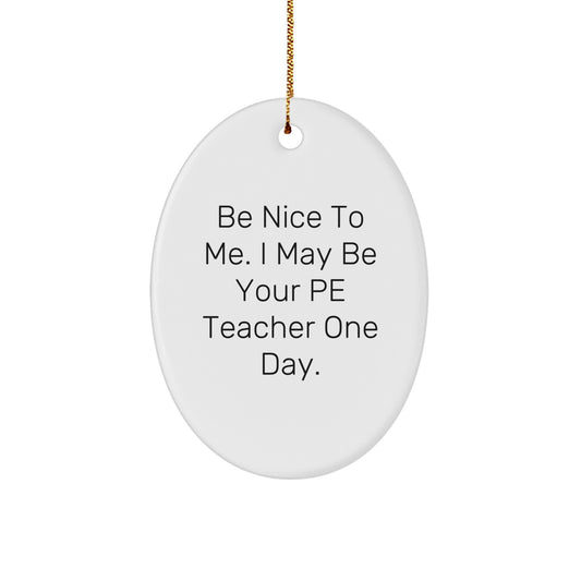 Funny PE Teacher Gift Ideas, Oval Ornament, Be Nice To Me, Christmas Unique Gifts for PE Teacher from Friends, Family - Image 1