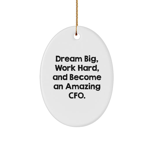 Funny CFO Gifts from Friends - Oval Ornament, Dream Big Work Hard Become Amazing CFO, Christmas Unique Gifts for CFO, CFO Oval Ornament - Image 1