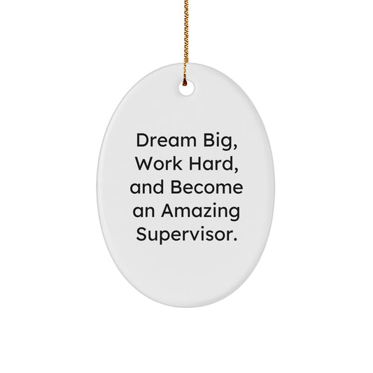 Funny Supervisor Gifts from Friends for Christmas Unique Oval Ornament - Dream Big Work Hard Oval Decoration - Image 1