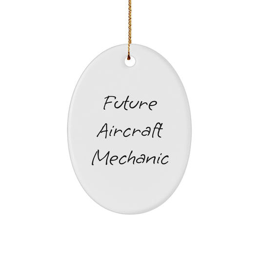 Aircraft Mechanic Gifts from Friends for Future Aircraft Mechanic, Oval Ornament Inspirational Quote for Men, Unique Christmas Unique Gifts for Family - Image 1