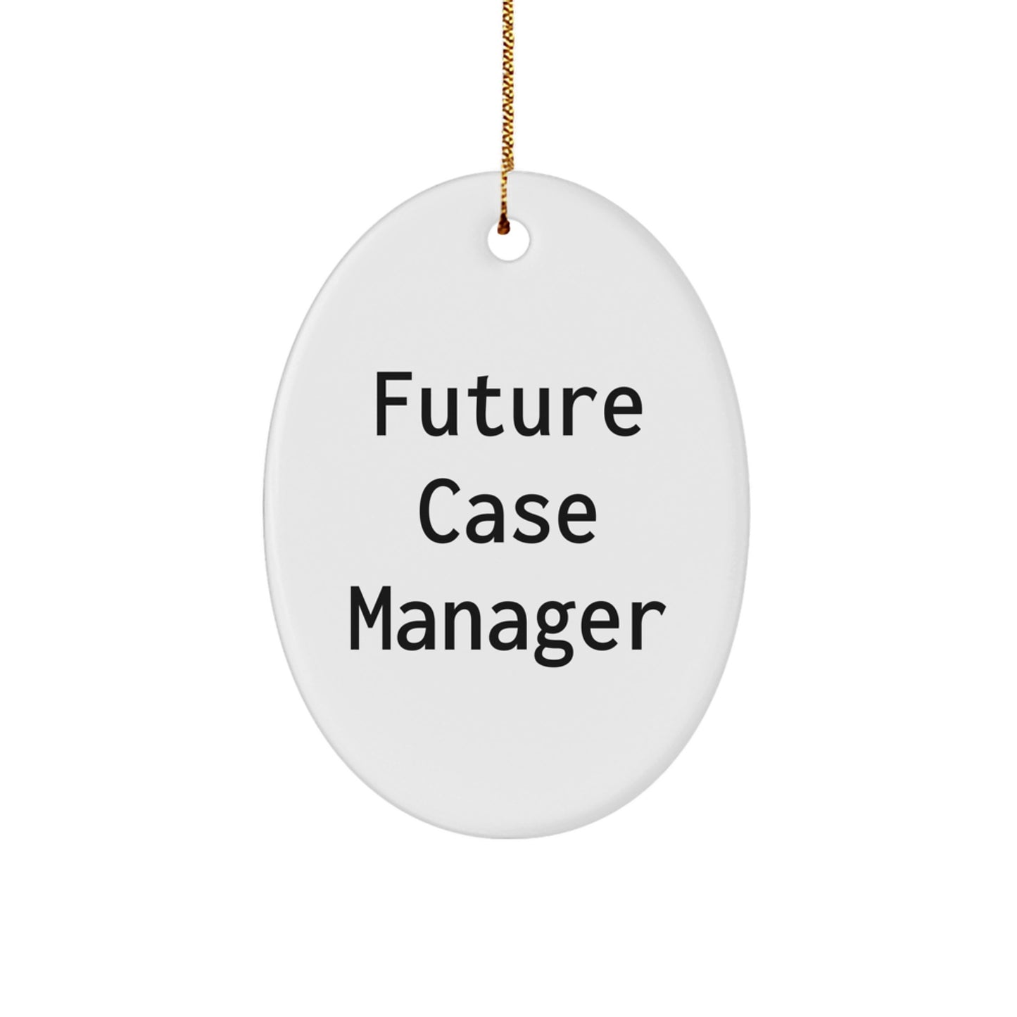 Funny 'Dream Big' Case Manager Gifts for Christmas, Oval Ornament from Friends, Family, Coworkers, Women, Men - Image 1