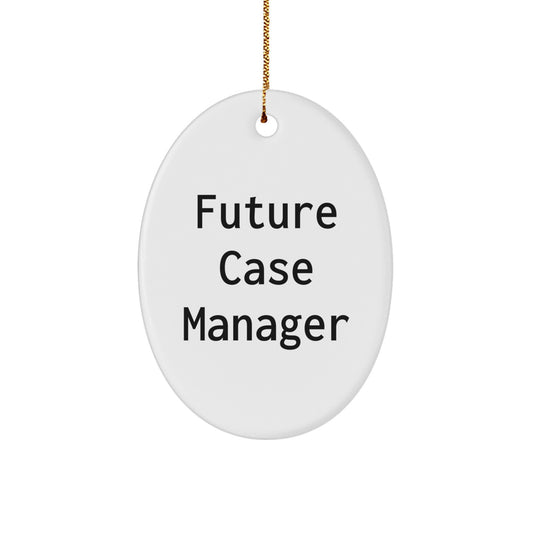 Funny 'Dream Big' Case Manager Gifts for Christmas, Oval Ornament from Friends, Family, Coworkers, Women, Men - Image 1