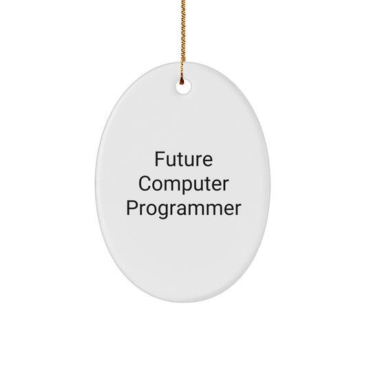 Funny Future Computer Programmer Oval Ornament, Inspirational Gifts for Men, Computer Programmer Christmas Unique Gifts from Friends, Family - Image 1