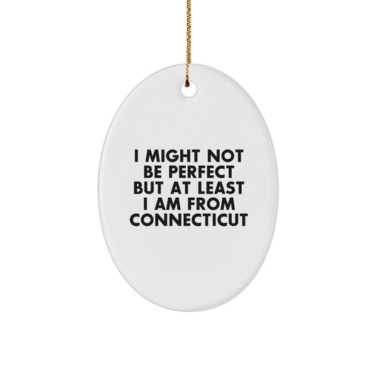 Funny Connecticut Oval Ornament Gifts from Friends for Family Christmas - Image 1