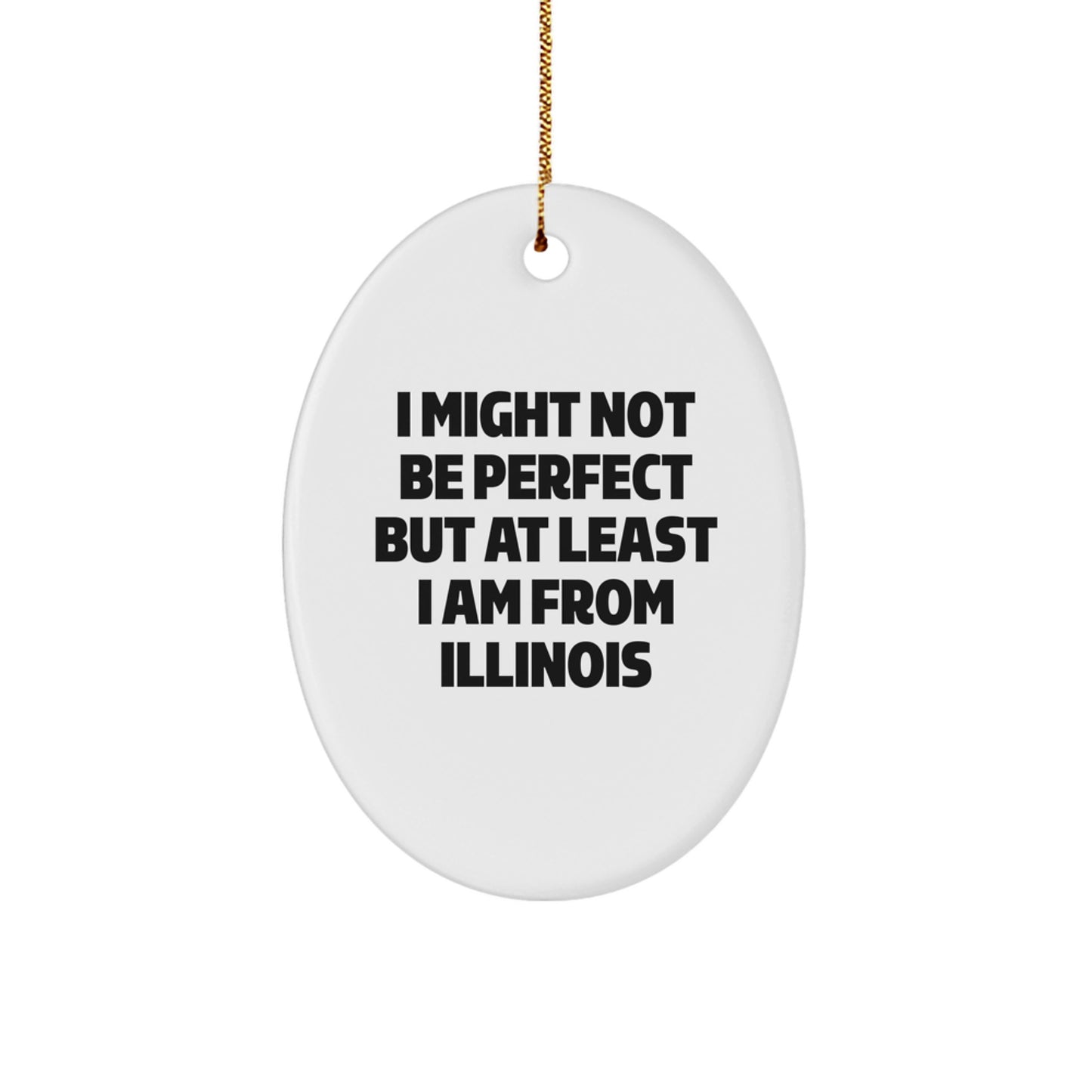 Funny Illinois Oval Ornament Gifts from Men Friends for Women Family - Image 1