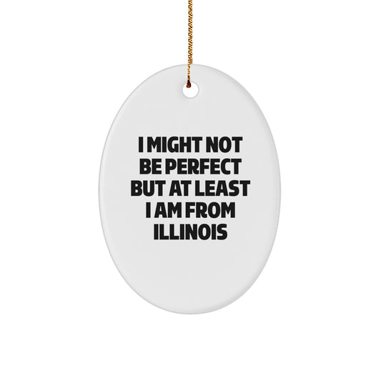 Funny Illinois Oval Ornament Gifts from Men Friends for Women Family - Image 1