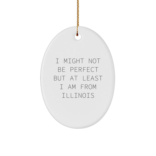 Funny Illinois Oval Ornament Gifts from Friends and Family for Illinois Residents - Image 1
