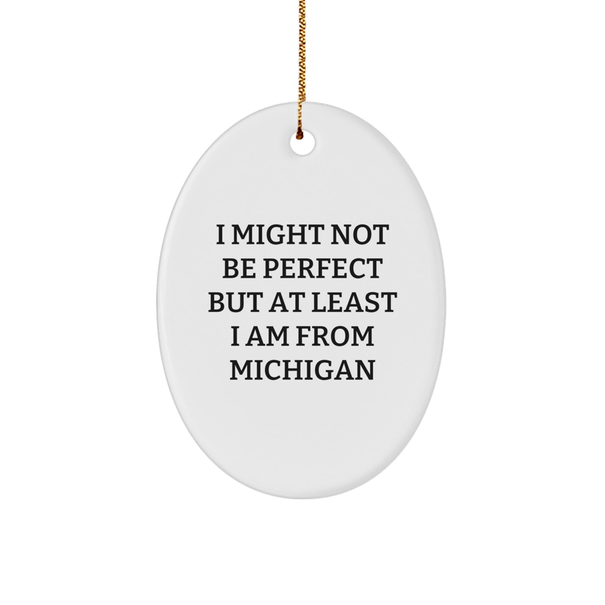 Michigan Oval Ornament, Funny Quote Gifts for Men Women Friends Family from Michigan, Christmas Unique Decorations - Image 1