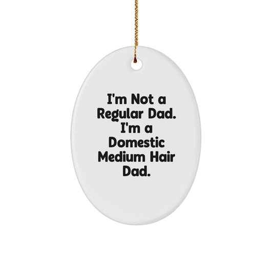 Domestic Medium Hair Cat Dad Gifts from Family, Oval Ornament with Funny Quote, Christmas Unique - Image 1