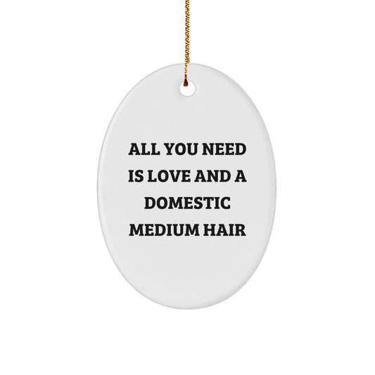 A Gift for Domestic Medium Hair Lovers, Oval Ornament with Funny Quote, Christmas Unique Gifts from Family, Friends, or Coworkers - Image 1
