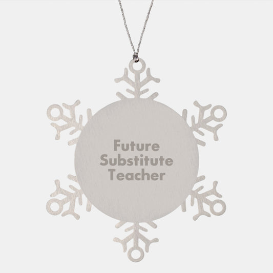 Funny Snowflake Ornaments for Substitute Teacher Gifts from Friends, Coworkers, or Family - Inspirational Quote - Image 1