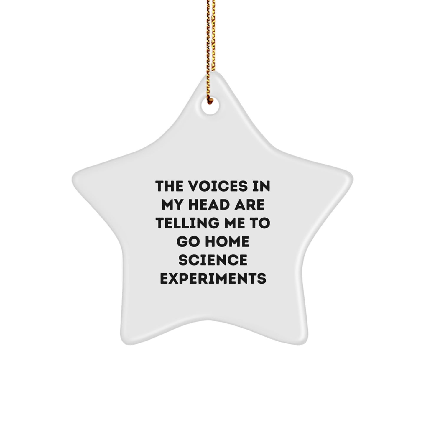 Funny Home Science Experiments Decorations For The Voices In My Head Are Telling Me To Go - Gifts from Men to Family for Christmas Unique Gifts - Image 1