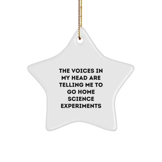 Funny Home Science Experiments Decorations For The Voices In My Head Are Telling Me To Go - Gifts from Men to Family for Christmas Unique Gifts - Image 1