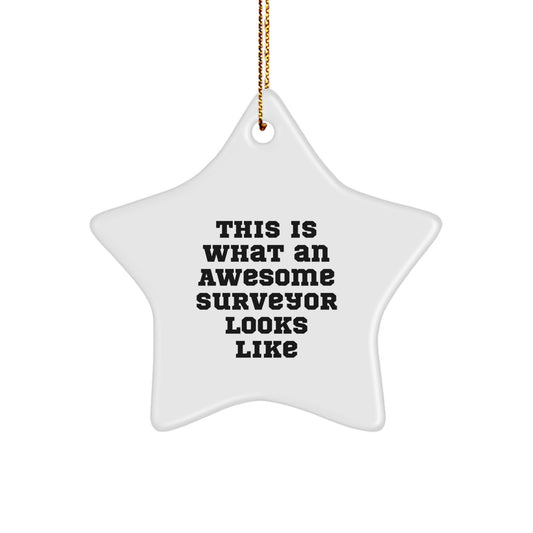Surveyor Gifts, Funny Star Ornament, 'This Is What An Awesome Surveyor Looks Like', Christmas Unique Gifts from Family to Friends - Image 1
