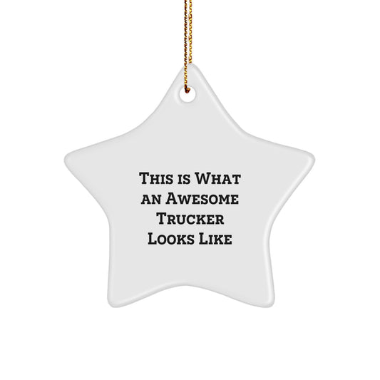 Funny Trucker Star Ornament Gifts from Men to Trucker Friends for Christmas Unique Gifts - Image 1
