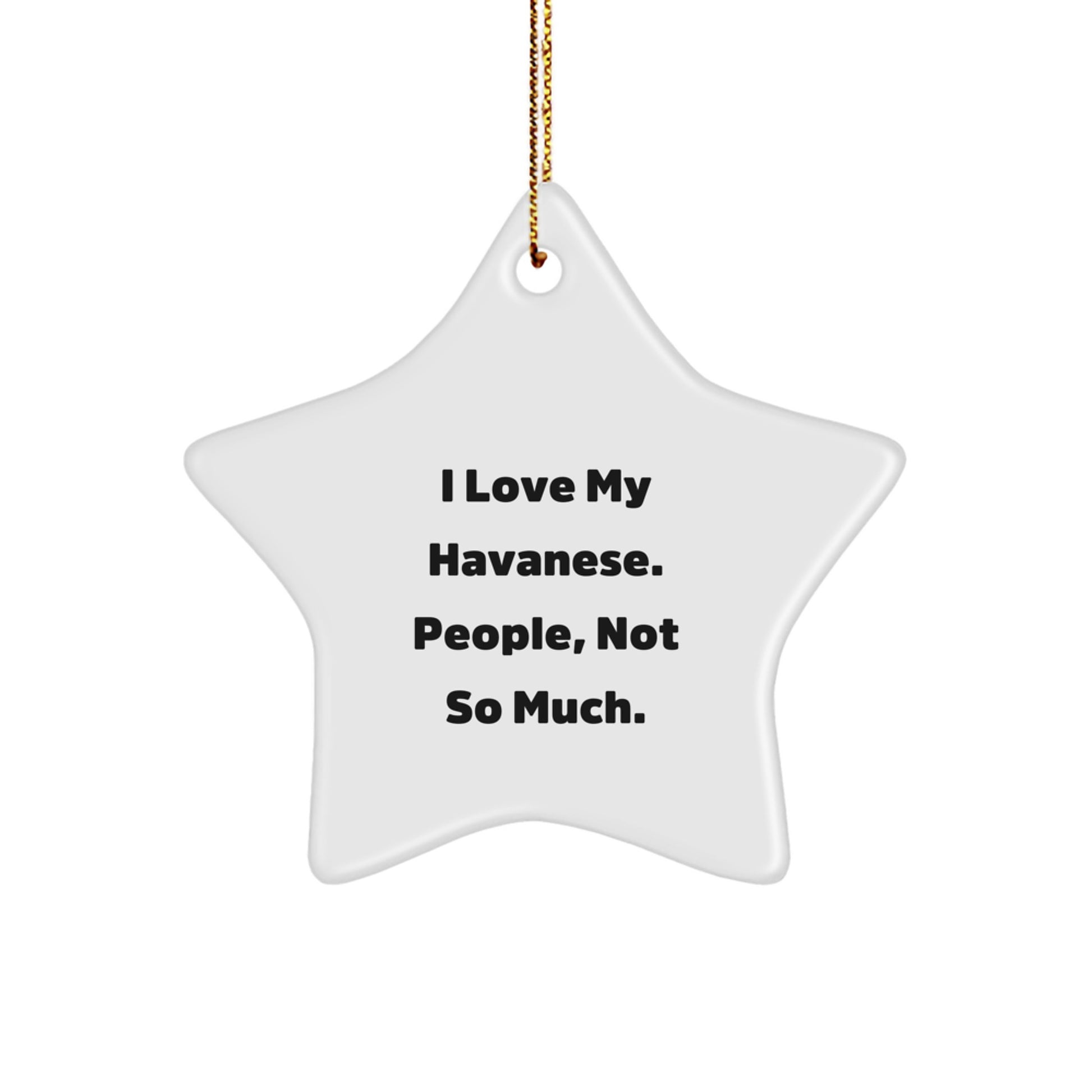 Havanese Dog Gifts, I Love My Havanese, People Not So Much, Star Ornament for Christmas, Gifts from Men to Family - Image 1