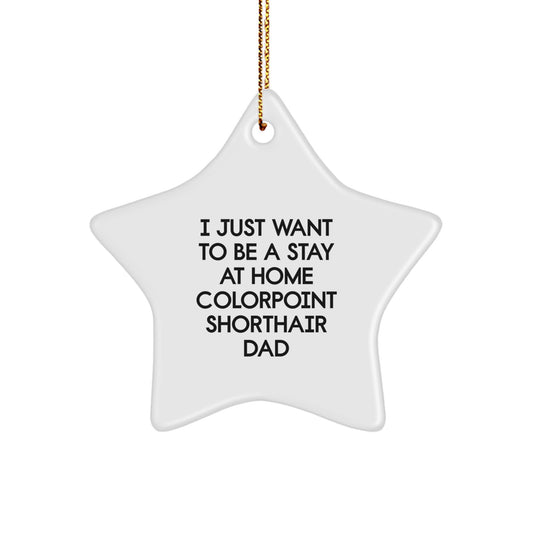 Funny Colorpoint Shorthair Cat Star Ornament Gifts from Dad, for Colorpoint Shorthair Cat, Christmas Unique Gifts, Colorpoint Shorthair Cat Lover Gifts - Image 1