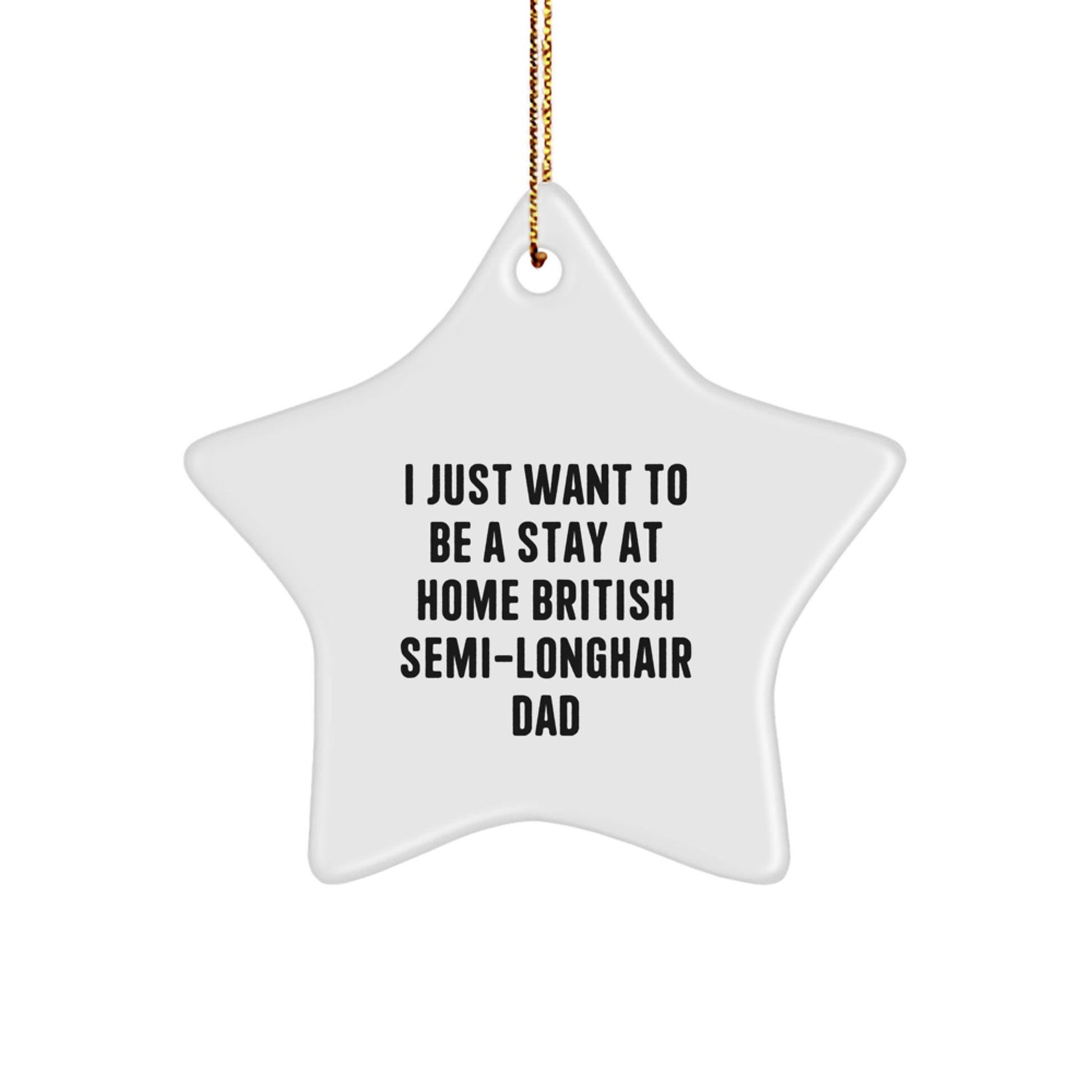 Funny British Semi-Longhair Cat Christmas Ornaments for Gifts from Dad Star Shaped - Image 1