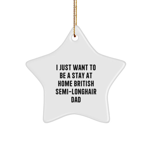 Funny British Semi-Longhair Cat Christmas Ornaments for Gifts from Dad Star Shaped - Image 1