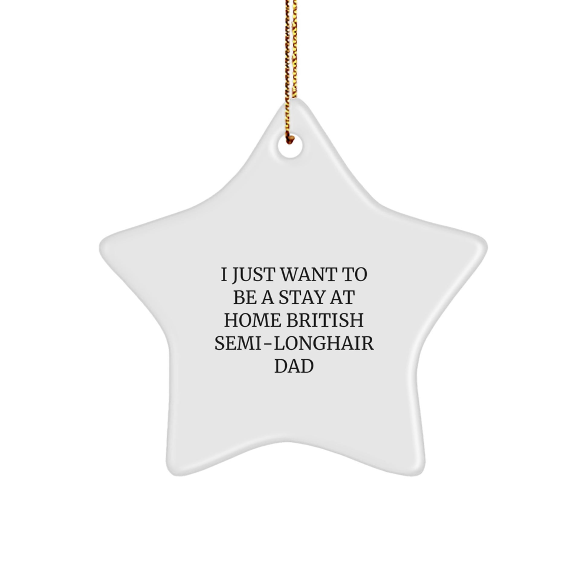 Funny British Semi-Longhair Cat Star Ornament Gifts from Men to Family for Christmas Unique - Image 1