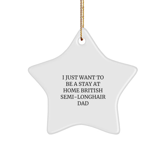Funny British Semi-Longhair Cat Star Ornament Gifts from Men to Family for Christmas Unique - Image 1