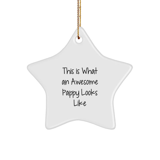 Funny Pappy Gifts from Family, Christmas Unique Star Ornament Pappy for Men, Women, Friends, Coworkers, Family - This Is What An Awesome Pappy Looks Like - Image 1