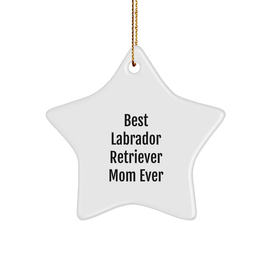 Labrador Retriever Dog Mom Funny Star Ornament Gifts from Family for Christmas Unique Decorations - Image 1