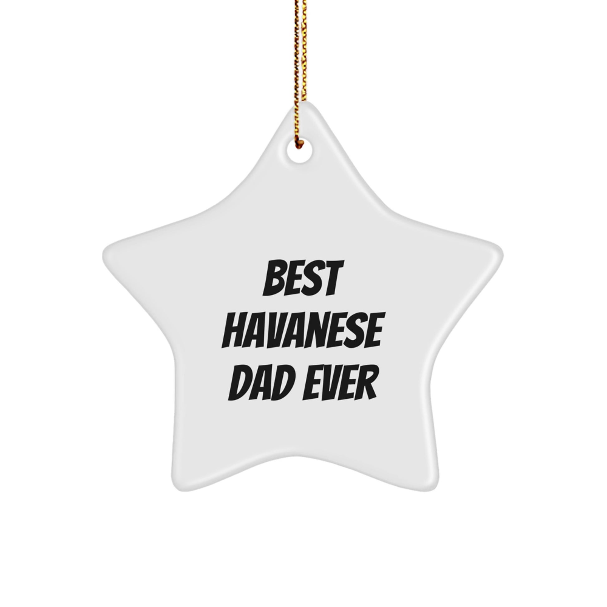 Havanese Dog Star Ornament for Men Gifts from Best Dad Ever, Funny Christmas Decorations - Image 1