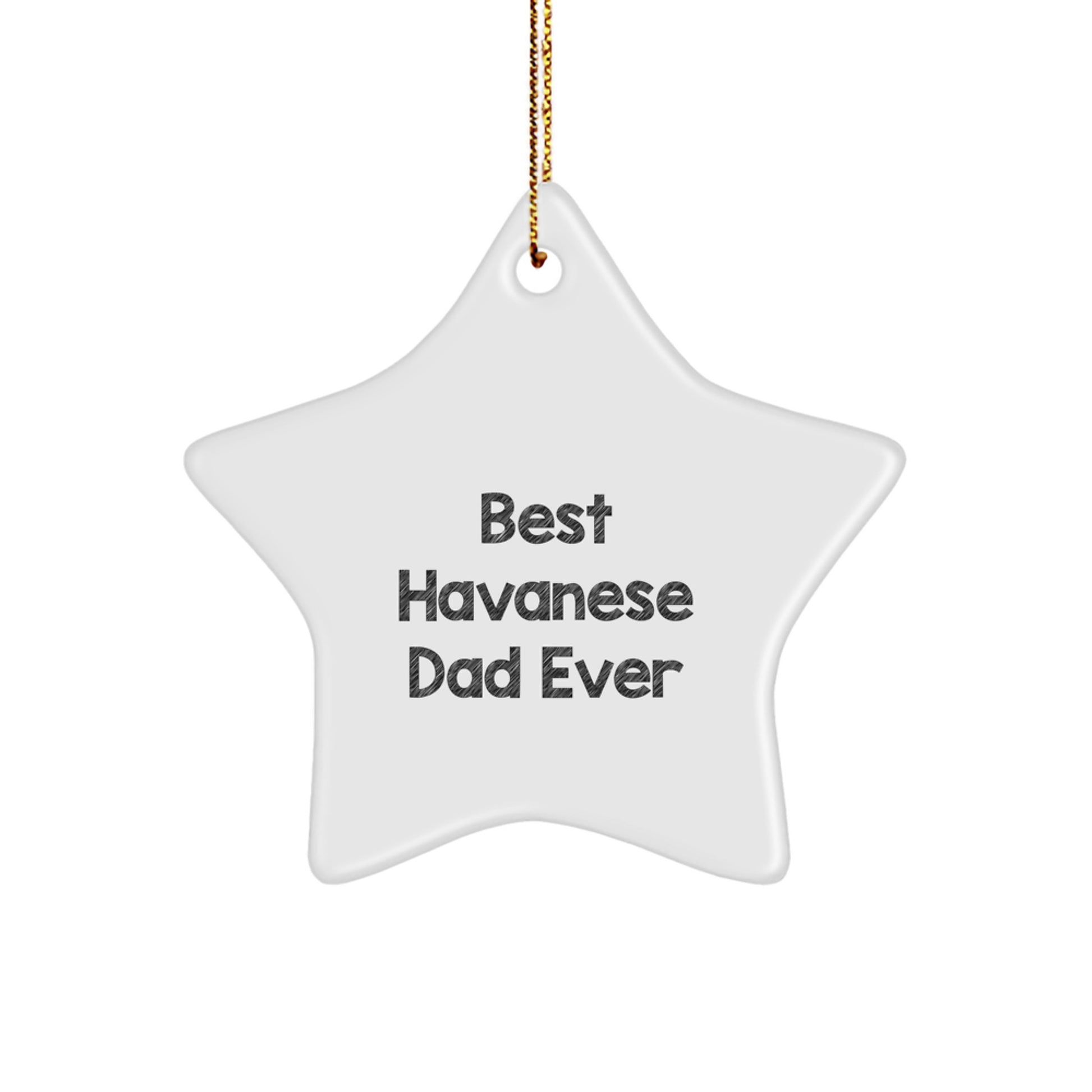 Havanese Dog Star Ornament, Best Havanese Dad Ever, Funny Christmas Unique Gift for Havanese Dog Lovers, Gifts from Mom, Gifts for Dad - Image 1