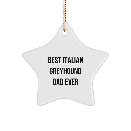 Funny Italian Greyhound Dog Gifts for Men from Women - Best Dad Ever Star Ornament for Christmas Unique Gifts - Image 1