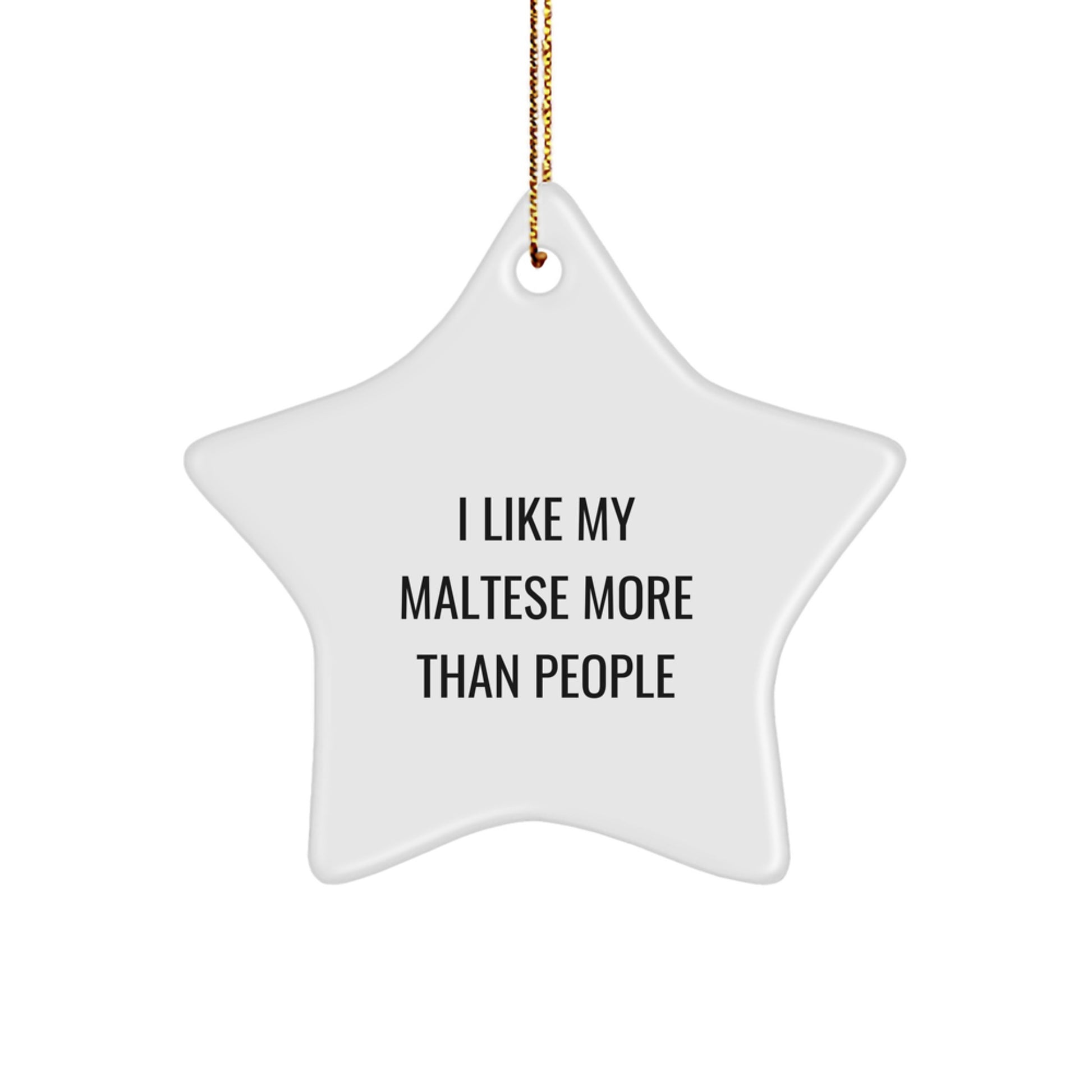 Funny Maltese Dog Star Ornament Gifts from Friends for Christmas - Image 1