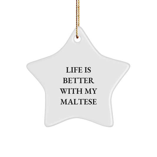 Maltese Dog Lover Gifts from Men to Family - Funny Maltese Dog Star Ornament for Christmas Unique Gifts - Image 1