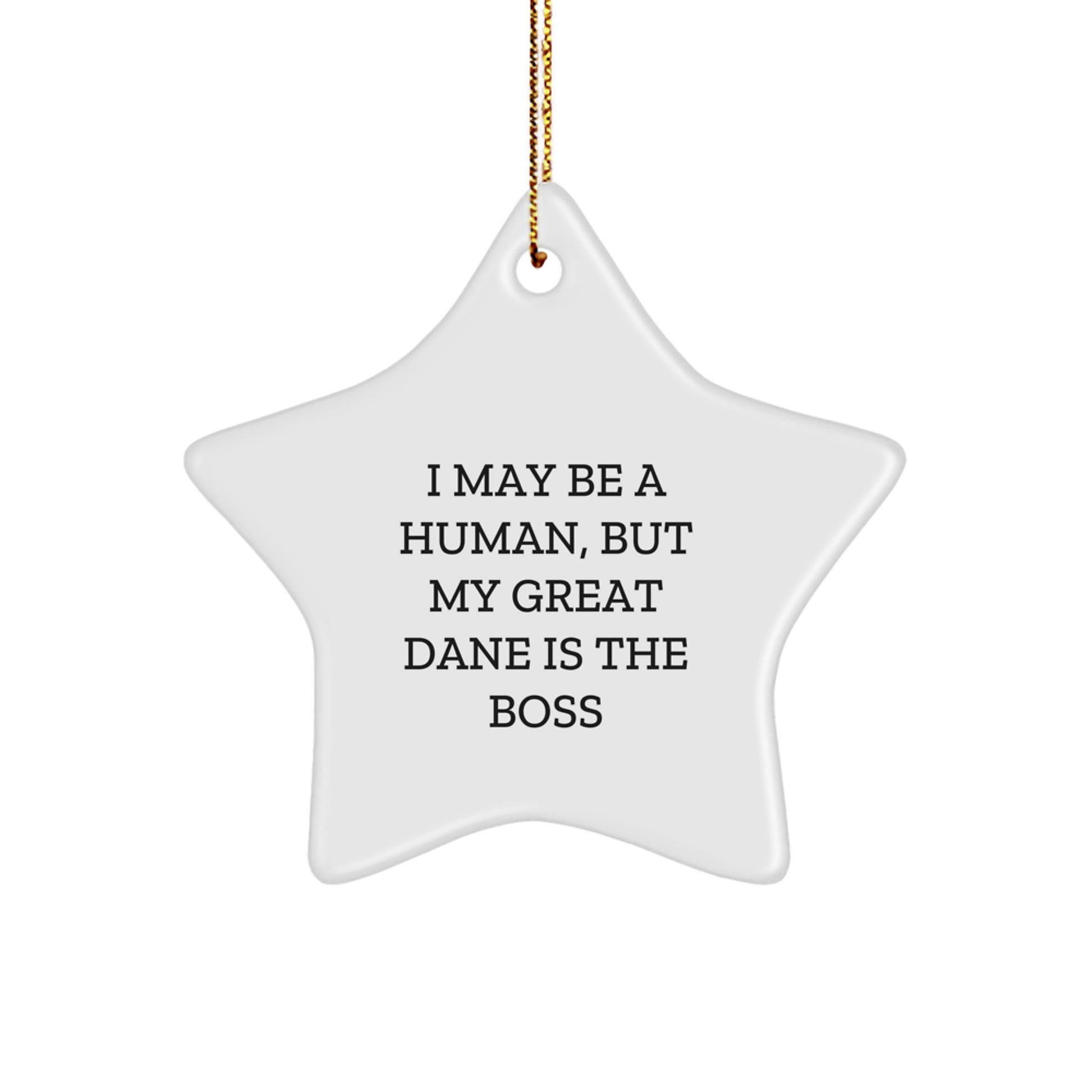 Funny Great Dane Dog Star Ornament Gifts from Men to Great Dane Dog Owners on Christmas Unique Gifts - Image 1