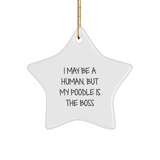 Funny Poodle Dog Love Gifts from Family for Christmas Star Ornament I May Be A Human But My Poodle Is The Boss - Image 1