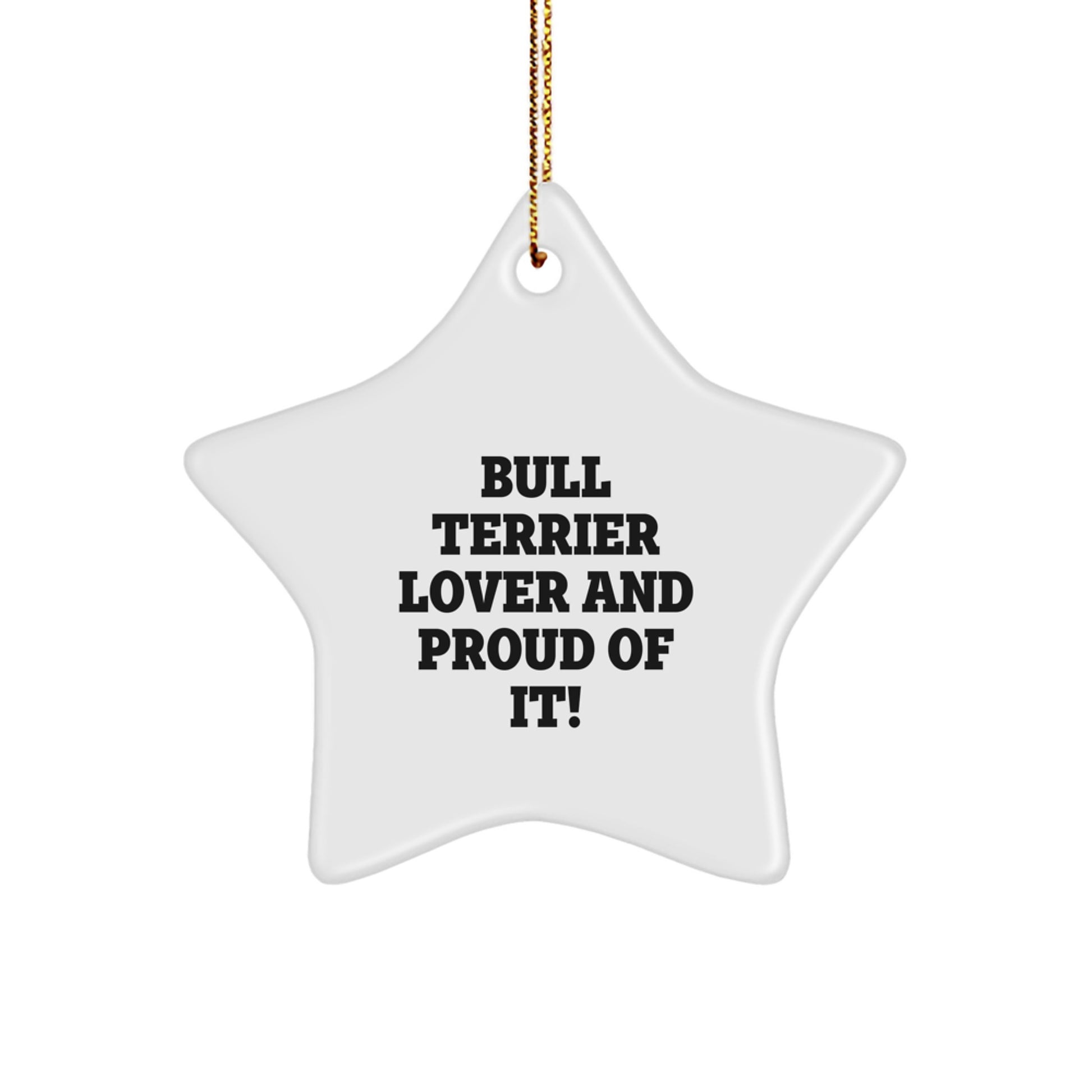 Bull Terrier Dog Gifts from Friends - Funny Quote Star Ornament for Christmas - Image 1
