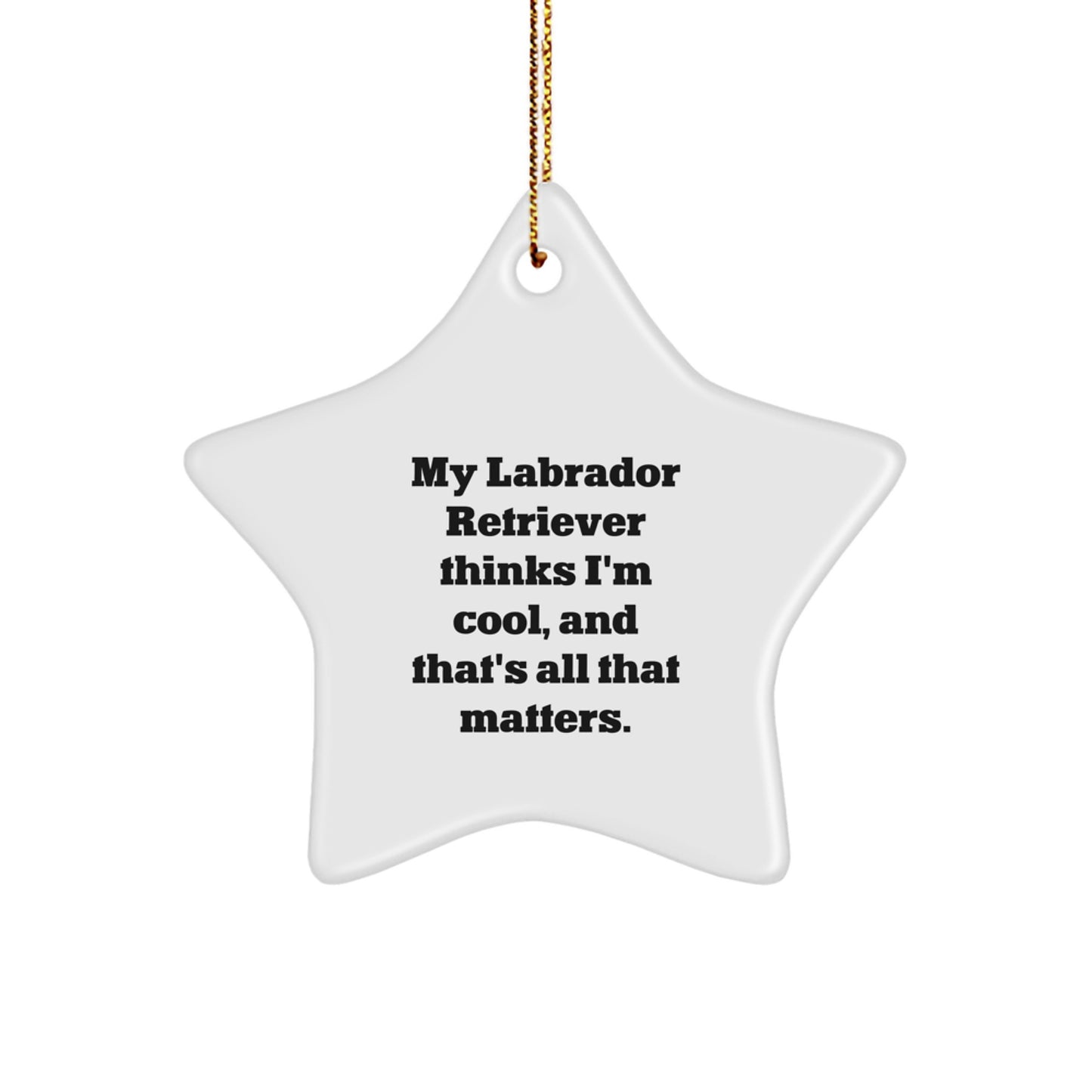 Labrador Retriever Dog Gifts - Funny Star Ornament for Men, Women, Family, and Friends - Christmas Unique Gifts from My Labrador Retriever Thinks I'm Cool, And That's All That Matters. - Image 1
