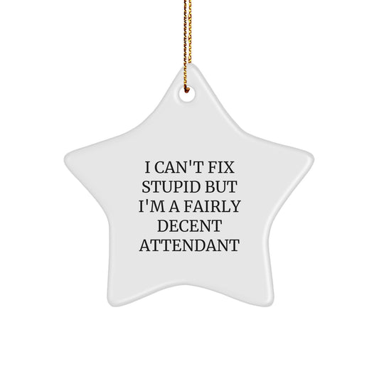 Funny Attendant Gifts from Men - I Can't Fix Stupid But I'm A Fairly Decent Attendant Star Ornament for Attendant, Perfect for Christmas - Image 1