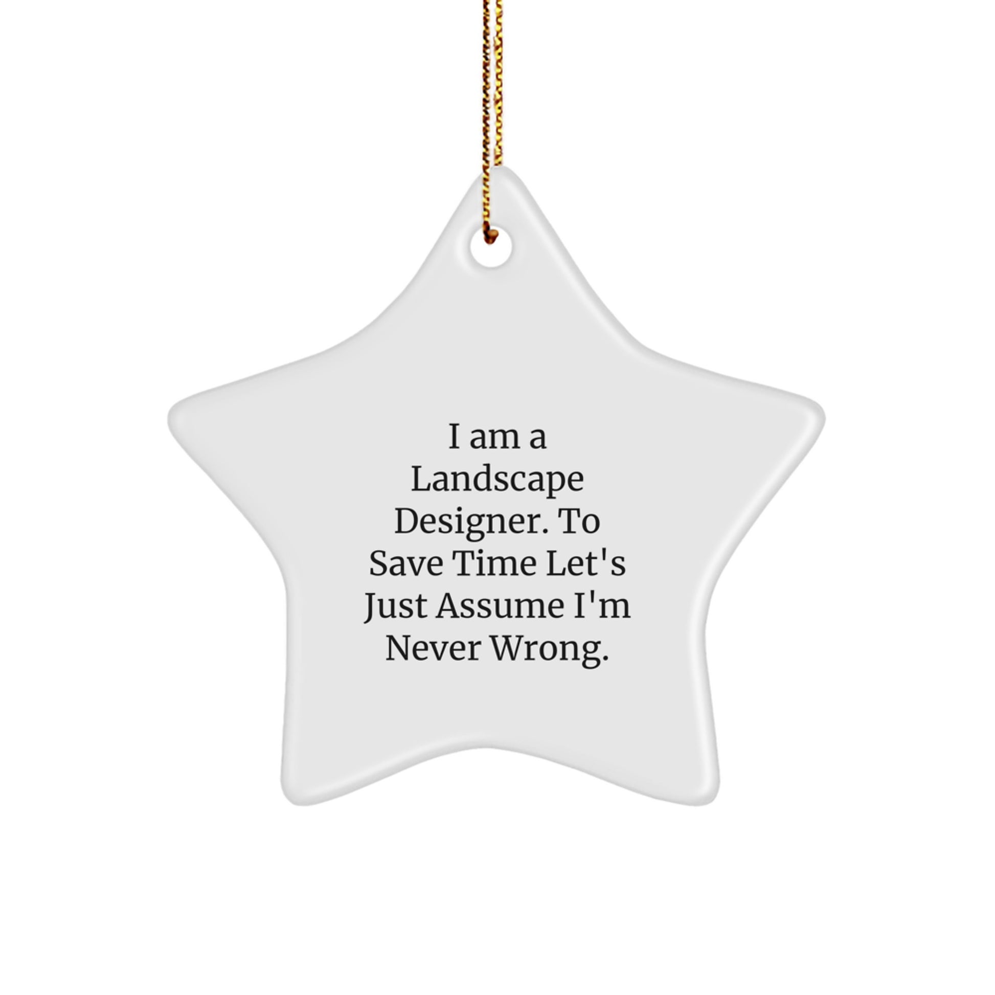 Landscape Designer Gifts from Friends, Funny Star Ornament, 'I Am Never Wrong' Quote, Christmas Unique Gifts for Him - Image 1